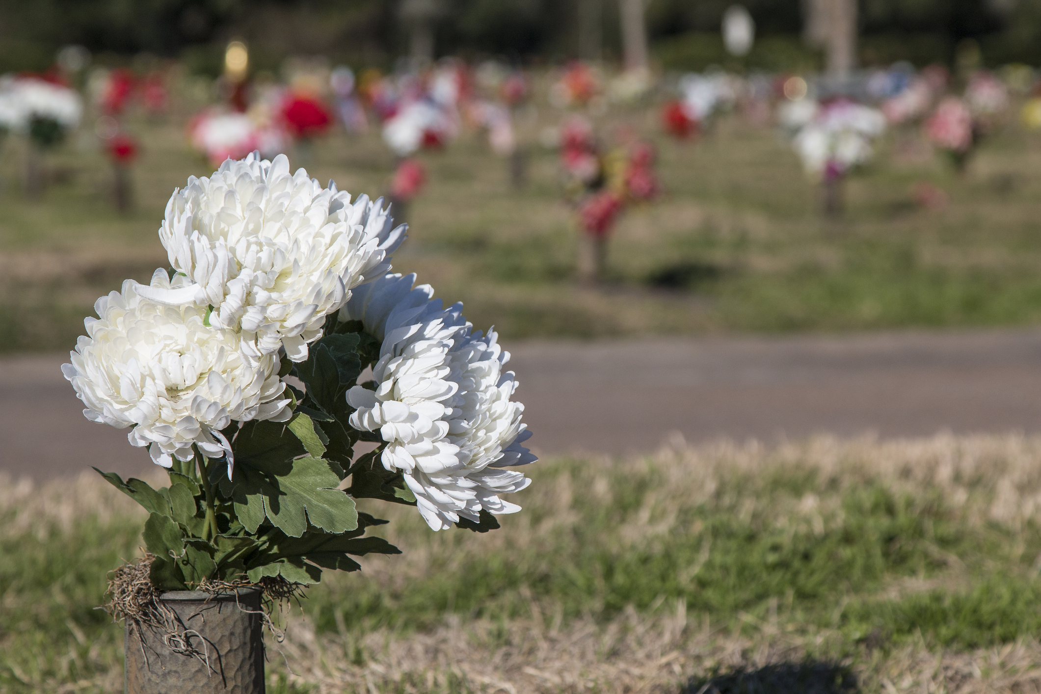  Louisville wrongful death lawyer